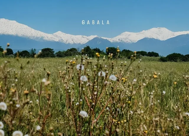 Baku, Gabala & Sheki Escape with Tours