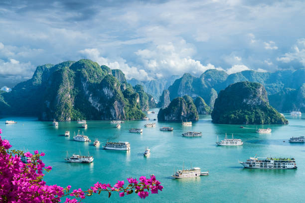 Main image for Vietnam 2N Hanoi 2N Da Nang 2N Saigon - 6 Nights 7 Days